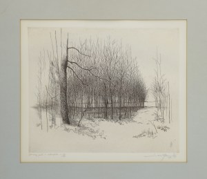 Leszek RÓZGA (1924-2015), Jesienny gaik, 1979