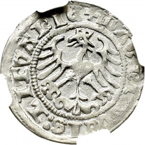 Sigismund I the Old, Halfgroat 1513, Vilnius - NGC MS64