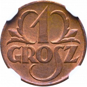 II Rzeczpospolita, 1 grosz 1923 - NGC MS66 RB