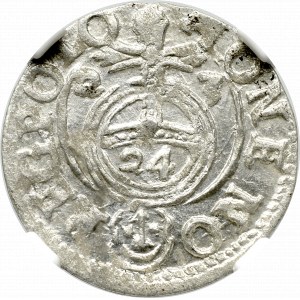 Zygmunt III Waza, Półtorak 1623 Bydgoszcz - NGC MS63