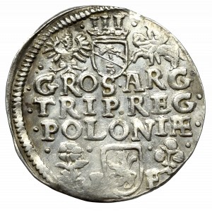 Zygmunt III Waza, Trojak 1596, Wschowa - nieopisany wariant