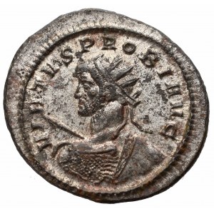 Cesarstwo Rzymskie, Probus, Antoninian, Ticinum - bardzo rzadkie popiersie