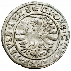 Zygmunt I Stary, Grosz dla ziem pruskich 1528, Toruń