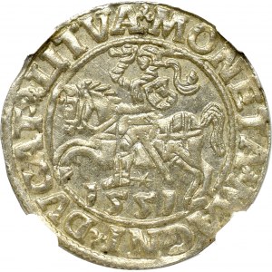 Zygmunt II August, Półgrosz 1551, Wilno - LI/LITVA NGC MS65