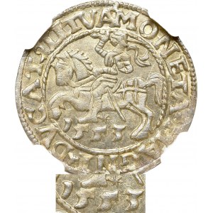 Sigismund II Augustus, Halfgroat 1553, Vilnius - LI/LITVA NGC MS66