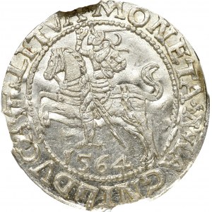 Zygmunt II August, Półgrosz 1564, Wilno - LI/LITVA NGC MS65