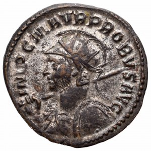 Cesarstwo Rzymskie, Probus, Antoninian, Lugdunum - rzadkie popiersie