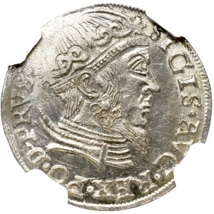Zygmunt II August, Trojak 1557, Gdańsk - NGC MS64