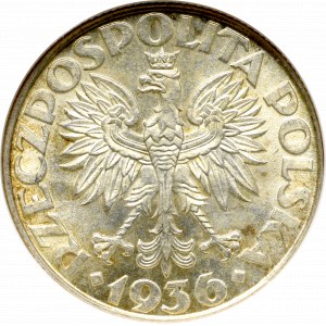 II Rzeczpospolita, 2 złote 1936 Żaglowiec - NGC MS62