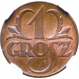 II Republic of Poland, 1 groschen 1923 - NGC MS65+ RB