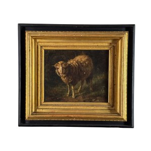 Ambito Fratelli Palizzi, Sheep