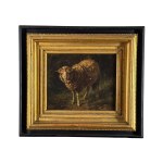 Ambito Fratelli Palizzi, Sheep