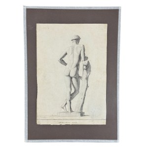 ANONIMO, Male anatomy