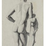 ANONIMO, Male anatomy