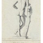 ANONIMO, Male anatomy