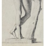 ANONIMO, Male anatomy