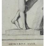 ANONIMO, Male anatomy