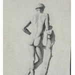 ANONIMO, Male anatomy