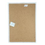 ANONIMO, Male anatomy