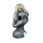 Skull with a reptile