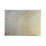 ANONIMO, Seashore view with beached boats