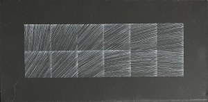 Anna Szprynger ( 1982 ),  b/t, 2012