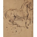 Piotr Michałowski (1800 Kraków - 1855 Krzyżtoporzyce near Kraków), Study of a Horse (recto) / Sketches of Horses (verso)