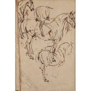Piotr Michałowski (1800 Kraków - 1855 Krzyżtoporzyce near Kraków), Study of a Horse (recto) / Sketches of Horses (verso)