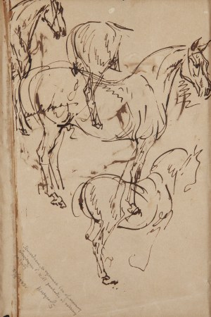 Piotr Michałowski (1800 Kraków - 1855 Krzyżtoporzyce k. Krakowa), Studium konia (recto) / Szkice koni (verso)