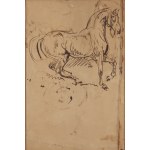 Piotr Michałowski (1800 Kraków - 1855 Krzyżtoporzyce near Kraków), Study of a Horse (recto) / Sketches of Horses (verso)
