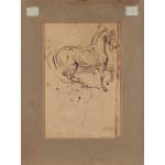 Piotr Michałowski (1800 Kraków - 1855 Krzyżtoporzyce near Kraków), Study of a Horse (recto) / Sketches of Horses (verso)