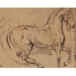 Piotr Michałowski (1800 Kraków - 1855 Krzyżtoporzyce near Kraków), Study of a Horse (recto) / Sketches of Horses (verso)