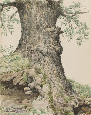 Józef Pieniążek (1888 Pychowice - 1953 Kraków), Dąb w Buchcicach, 1928
