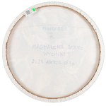 Magdalena Stano (ur. 1985), Piwonie I, 2021