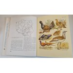 SOKOŁOWSKI Jan - PTAKI ZIEM POLSKICH Tom I-II BARWNE TABLICE