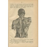 HOFF Albert - Technique of massage (Tехника массажа) [1899].