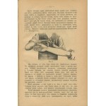 HOFF Albert - Technique of massage (Tехника массажа) [1899].
