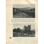 HULKA-LASKOWSKI Paweł - Silesia beyond the Olza River [1938].