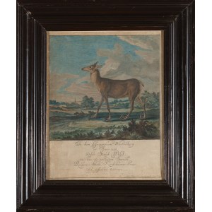Johan Elias RIDINGER