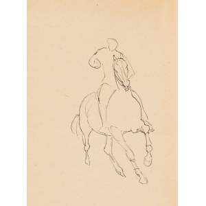 Ludwik MACIĄG (1920-2007), Muž na koni