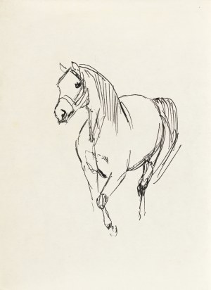 Ludwik MACIĄG (1920-2007), Koń