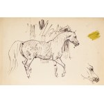 Ludwik MACIĄG (1920-2007), Horse shown from the right side and sketch of a horse