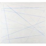 Włodzimierz Pawlak, Color Line 1, 2005