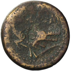 Roman Provincial, Gaul, Nemausus, Marcus Agrippa and Augustus, As