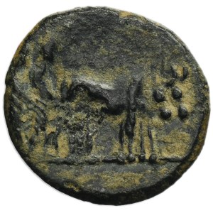 Roman Provincial, Macedon, Philippi, Tiberius, AE