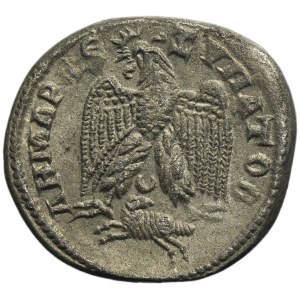 Roman Provincial, Syria, Antioch, Gordian III, Tetradrachm