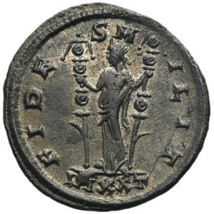Roman Imperial, Probus, Antoninianus