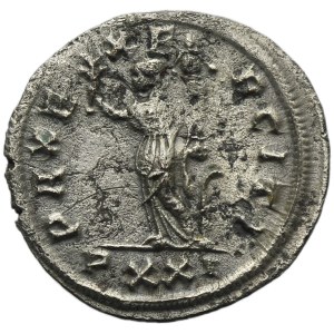 Roman Imperial, Carus, Antoninianus