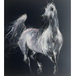 Krzysztof Jarocki, Arab, 2025