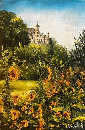 Renata Siewierska, Panorama z zamkiem
